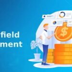 Brownfield Investment: Advantages and Disadvantages