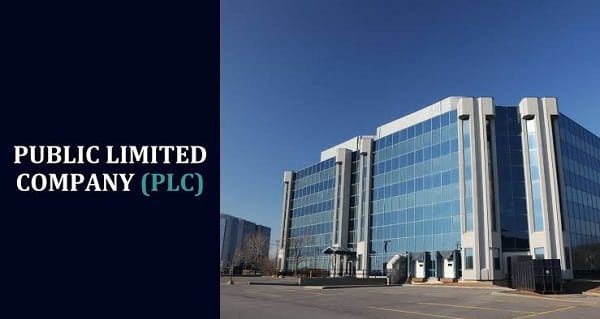 Public Limited Company