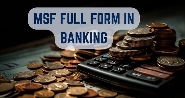 MSF Full Form in Banking